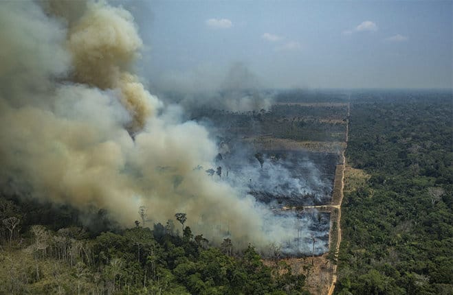 Incendi Amazzonia Brasile denuncia Greenpeace (2)